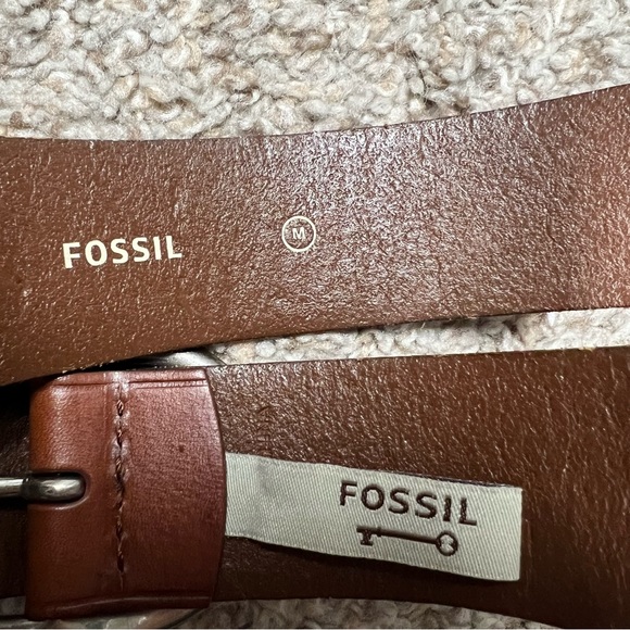 Brown Fossil Belt - Picture 3 of 4